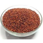 Finger Millet