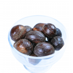 Nutmeg - Image 2
