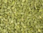 Pumpkin Seed - Image 3
